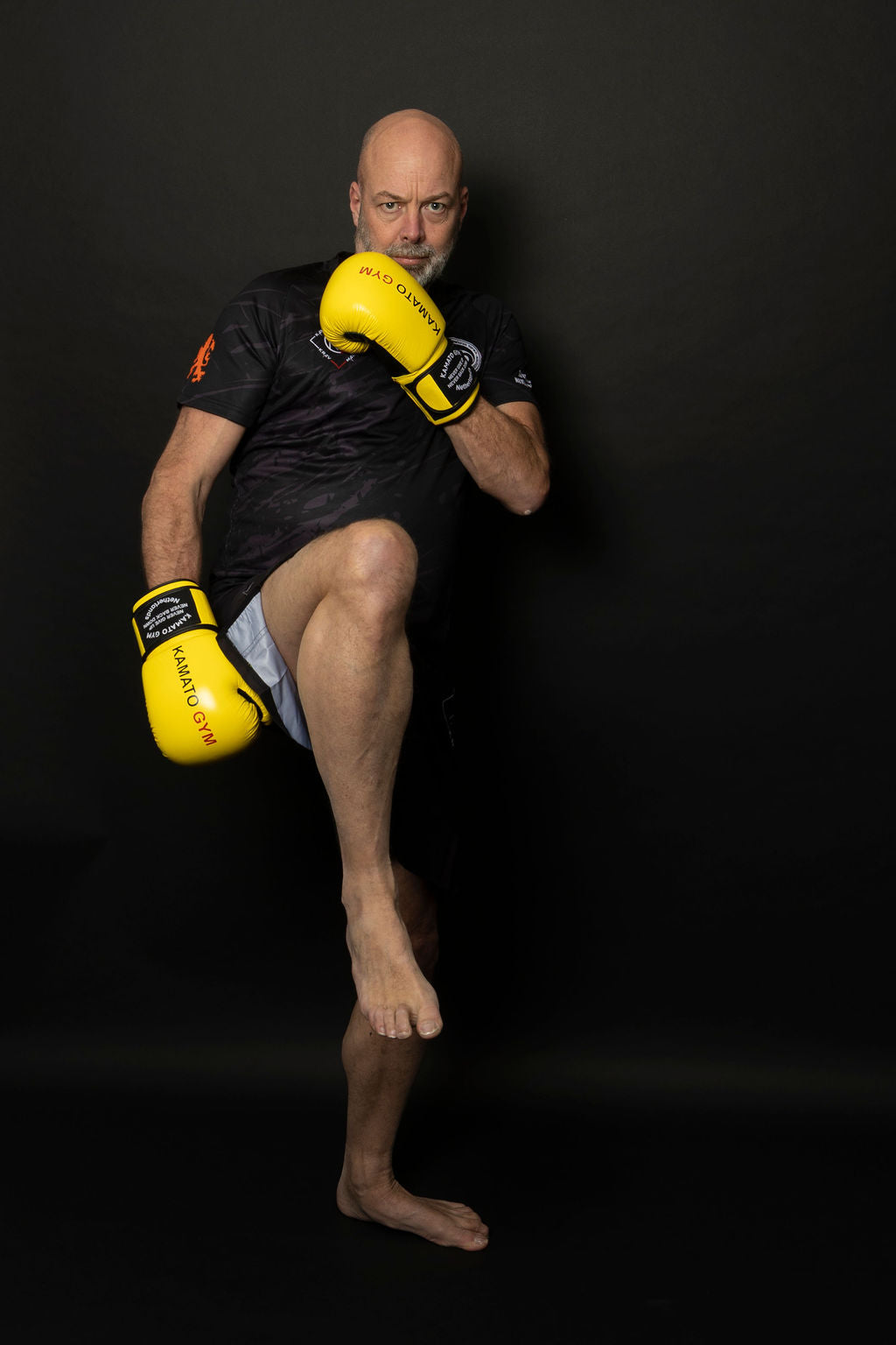 Boxing Glove Pro
